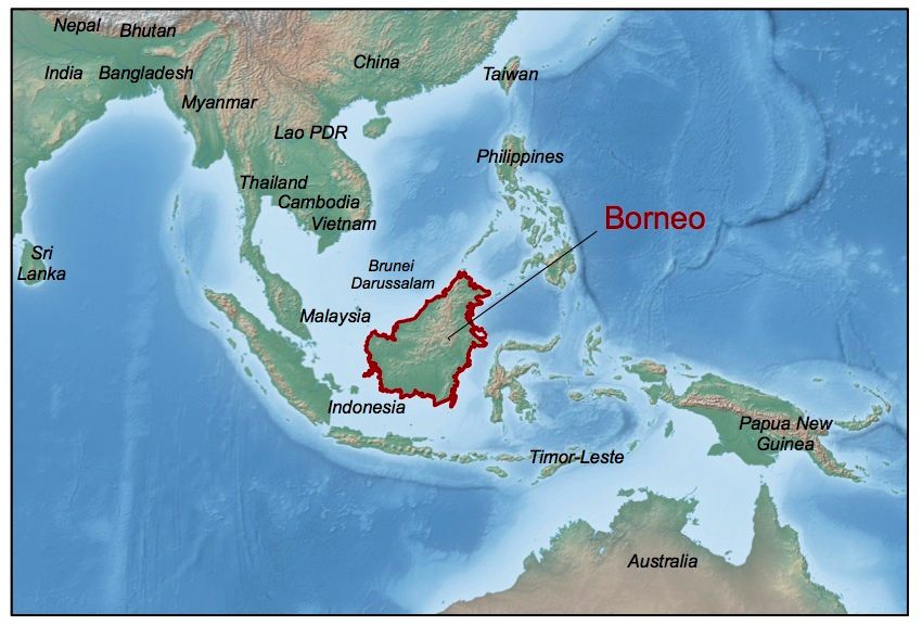 Borneo2